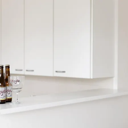 Leo & De Walvis * אוסטנדה