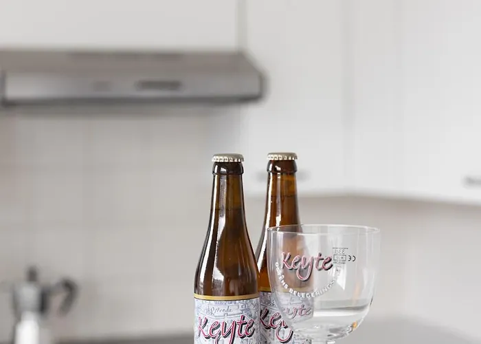 Leo & De Walvis Apartman Ostende